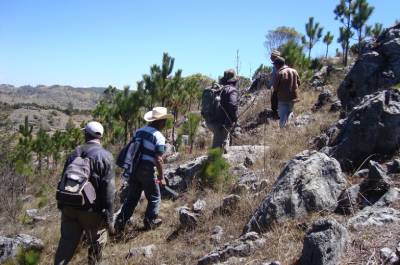 Protección de Ecosistemas únicos y especies endémicas amenazadas en 7 unidades de Conservación, Nacionales, Municipales y Comunitarias del departamento de Huehuetenango, financiado por el Fondo a la Conservación de Bosques Tropicales en Guatemala (FCA).