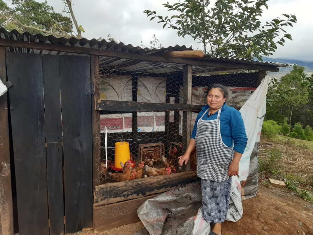Proyecto de Desarrollo Rural Territorial PRODERT Ixoq’ib, financiado por HELVETAS/Embajada de Suecia en Guatemala