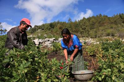 Mujeres Rurales y Cambio Climático –MRCC- y Red de Incidencia, financiado por el Fondo de Desarrollo Noruego.