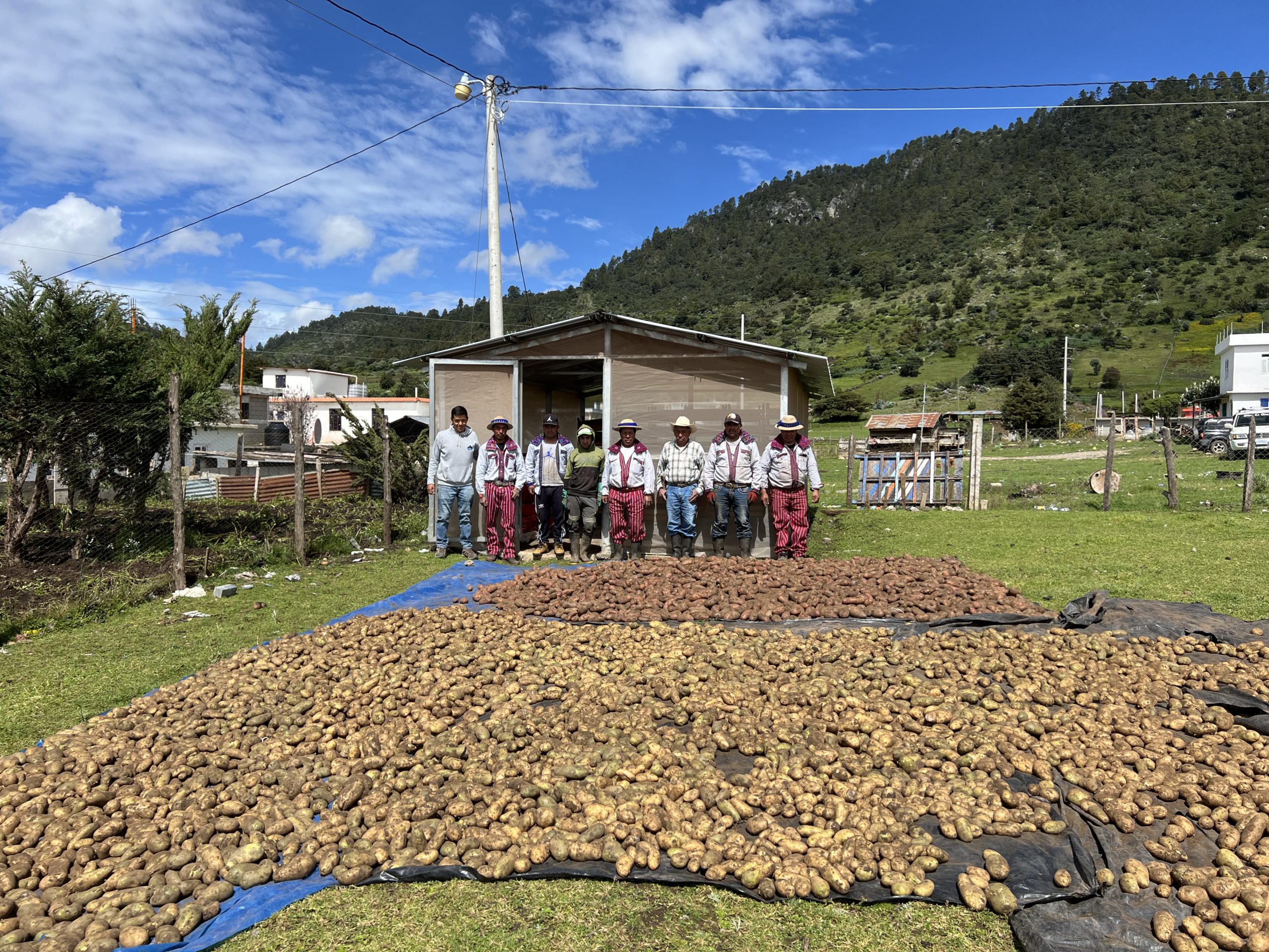 Fortalecimiento de los procesos de aprendizaje en Escuelas de campo (ECA), a través de investigaciones y transferencia de tecnologías en la cadena de valor del cultivo de Papa (Solanum tuberosum L.), en la Sierra de Los Cuchumatanes, Huehuetenango